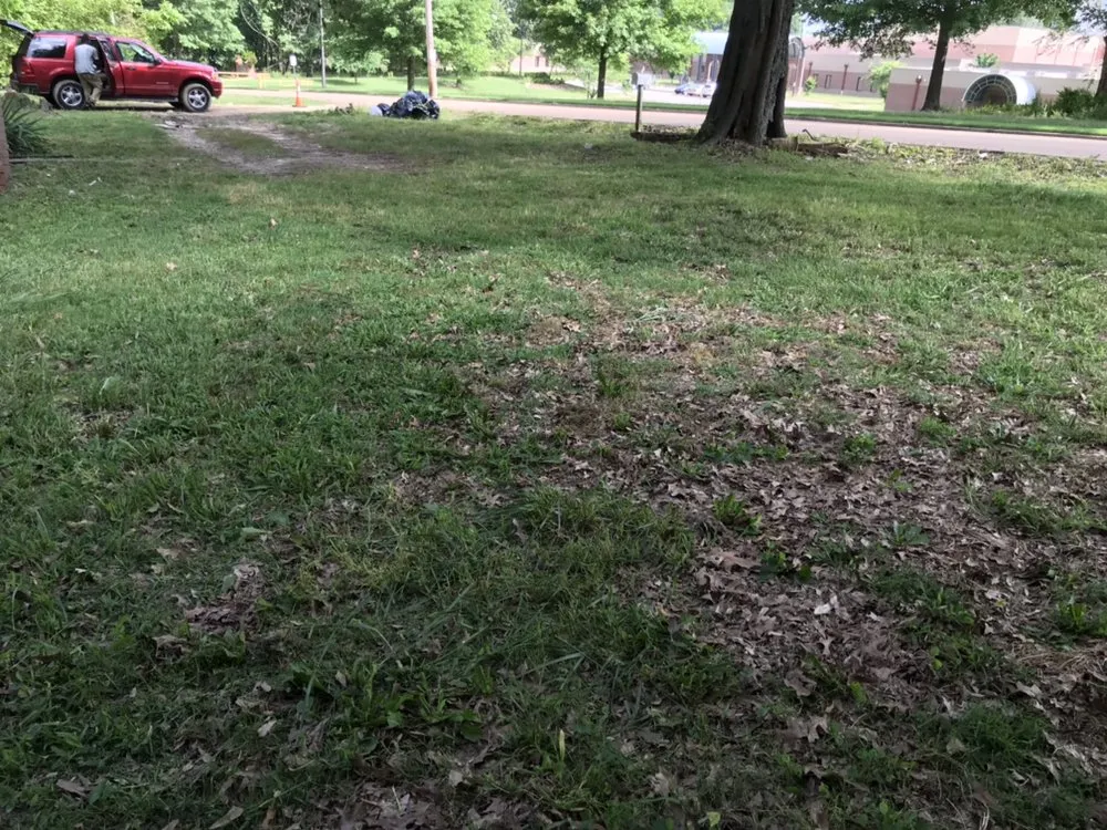 Local lawn mowing service experts serving Memphis, TN - Brother Lawn Care & Landscaping