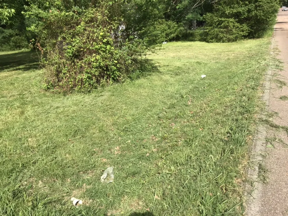 Professional outdoor landscaping experts serving Memphis, TN - Brother Lawn Care & Landscaping