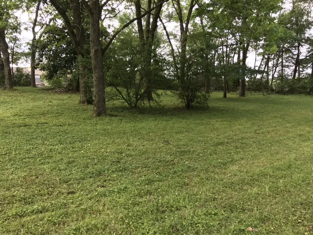 Reliable yard maintenance near you in Memphis, TN by Brother Lawn Care & Landscaping