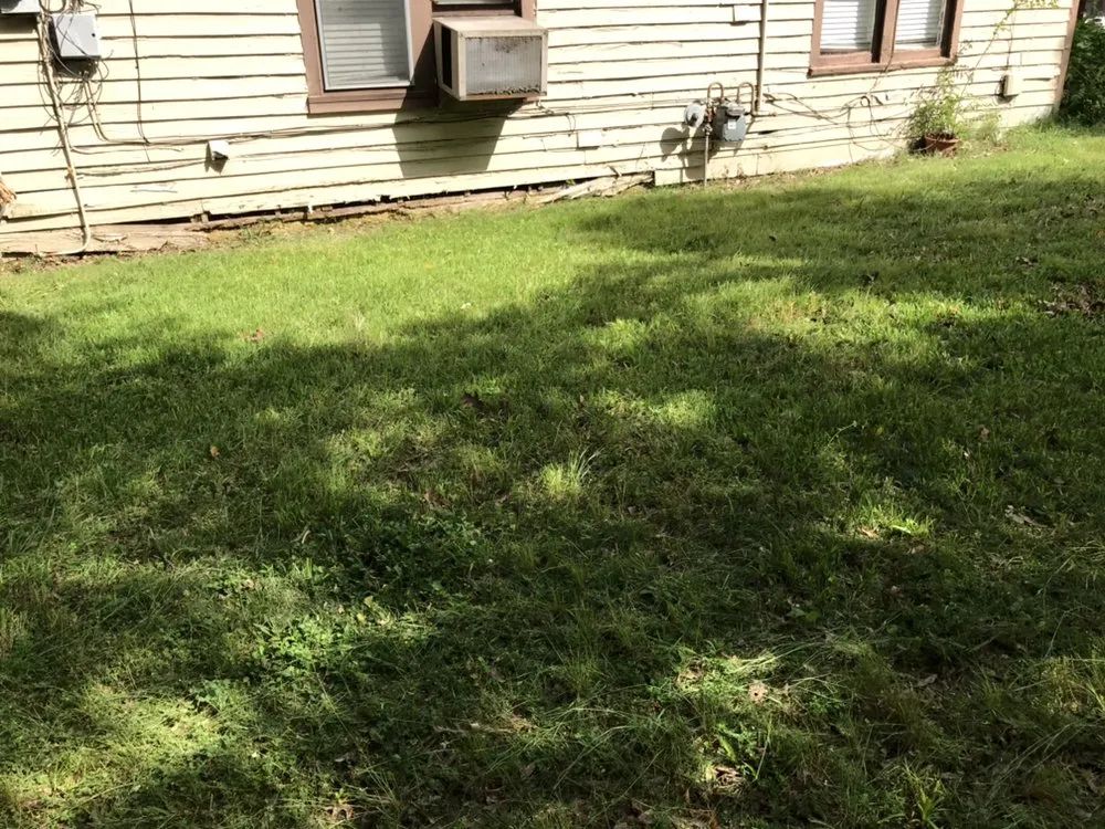 Custom lawn care service in Memphis, TN by Brother Lawn Care & Landscaping