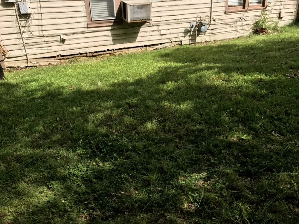 Affordable yard cleanup service for beautiful yards across Memphis, TN - Brother Lawn Care & Landscaping