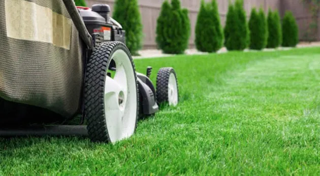 Professional residential landscaping in Milwaukee, WI - Brother Lawn Service