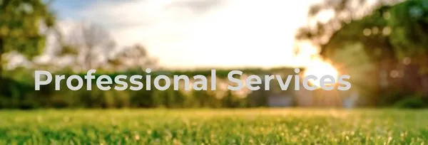 Brother Lawn Service Logo