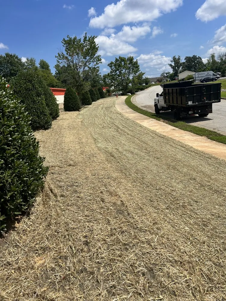 Trusted landscaping services for beautiful yards across Clayton, NC - Brother N Lawn