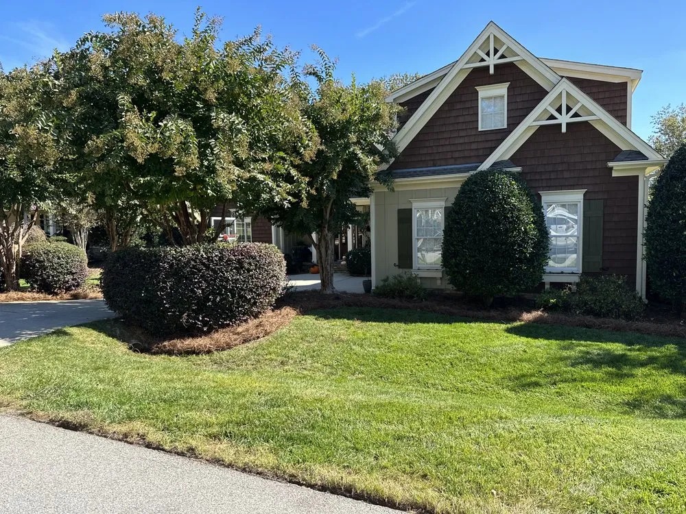 Reliable yard cleanup service experts serving Clayton, NC - Brother N Lawn