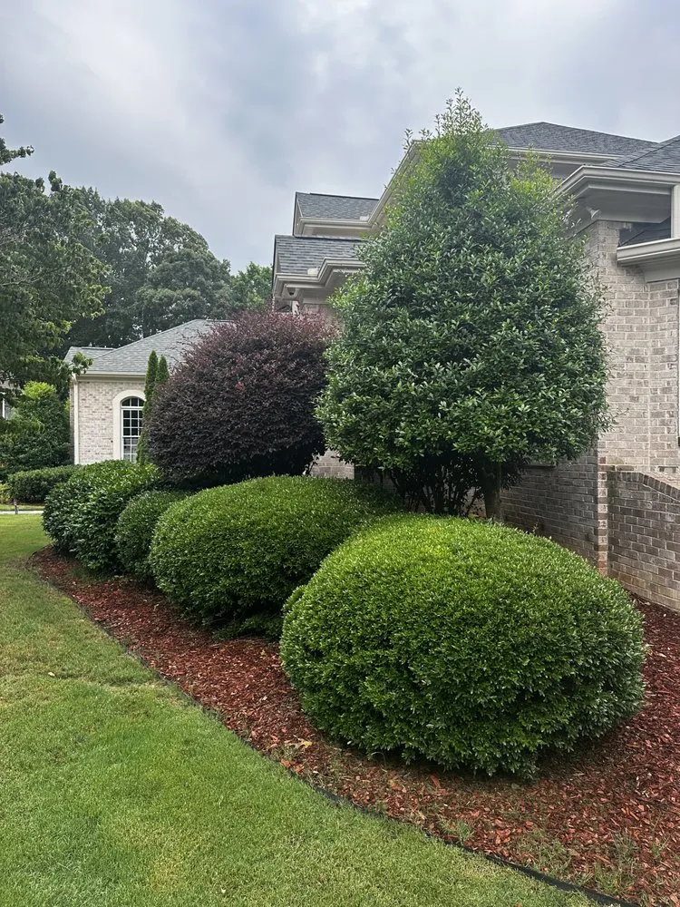 Professional landscape design in Clayton, NC by Brother N Lawn