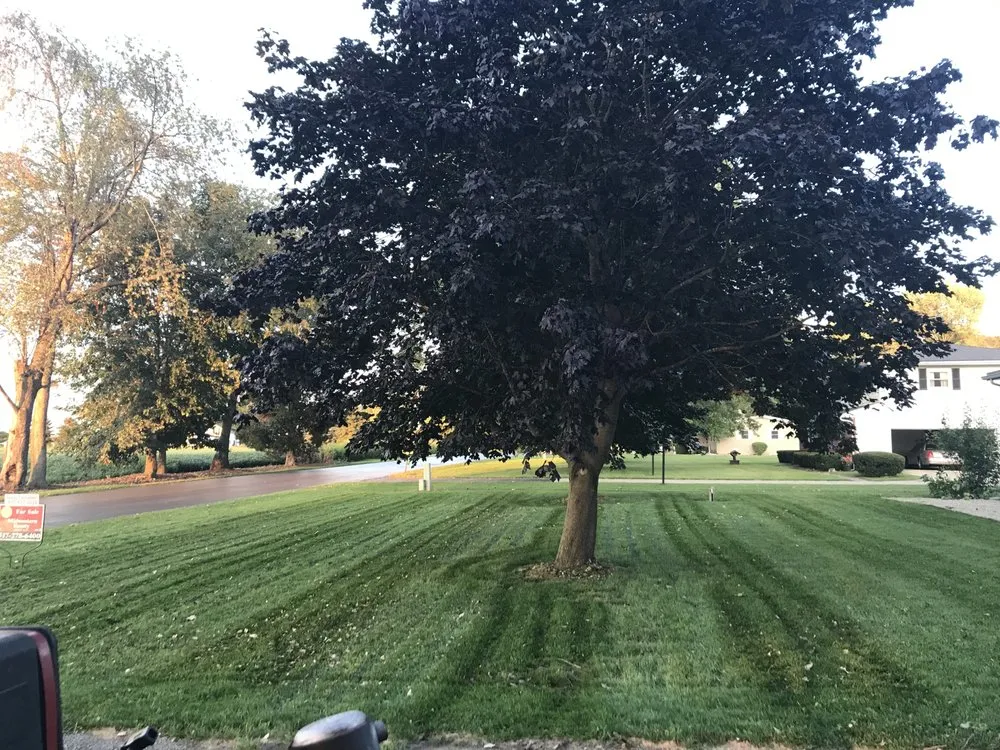 Local residential landscaping experts serving Tekonsha, MI - Brother N Lawns Mowing Company