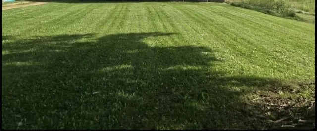 Expert residential landscaping experts serving Tekonsha, MI - Brother N Lawns Mowing Company