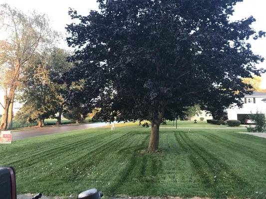 Brother N Lawns Mowing Company