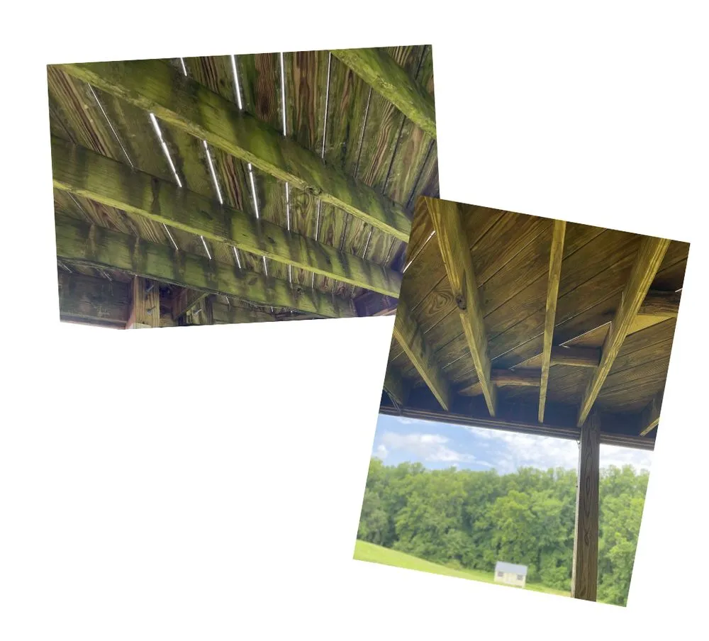 Expert yard cleanup service for year-round maintenance across Evington, VA - Brother-N-Laws Lawn care