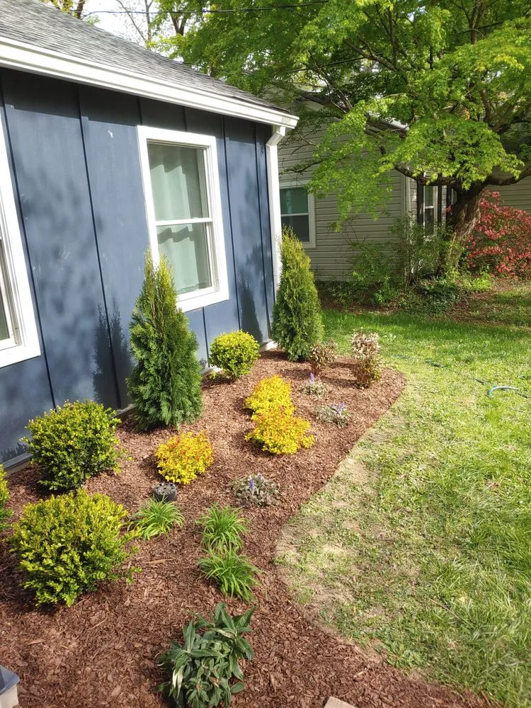 Local yard cleanup service near you across Kensington, MD - Brother Nature