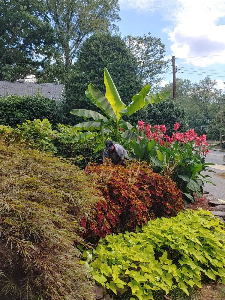 Expert lawn care service in Kensington, MD by Brother Nature