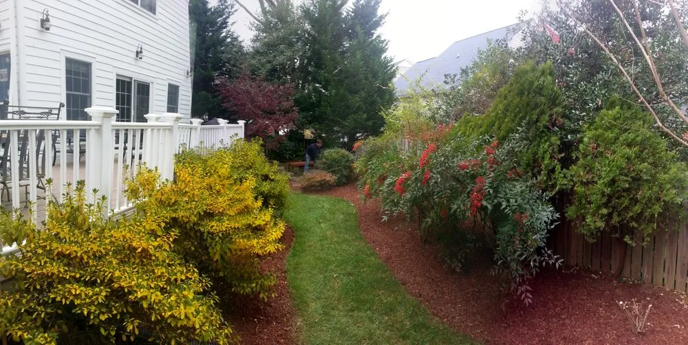 Custom yard cleanup service in Kensington, MD - Brother Nature