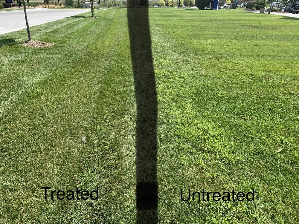 Affordable lawn care service in Omaha, NE - Brother Nature