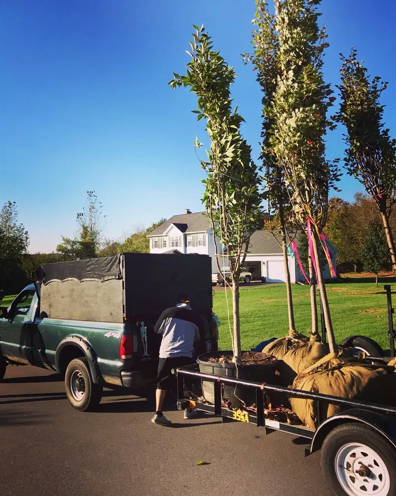 Custom landscape design experts serving Meriden, CT - Brother Nature Tree & Landscape
