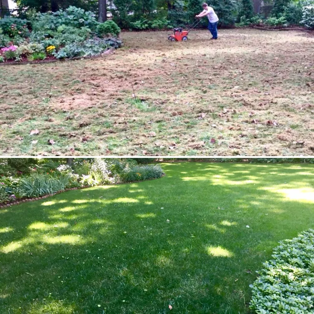 Reliable lawn mowing service in Meriden, CT by Brother Nature Tree & Landscape