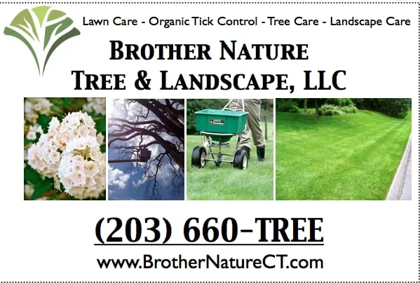 Professional lawn mowing service experts serving Meriden, CT - Brother Nature Tree & Landscape