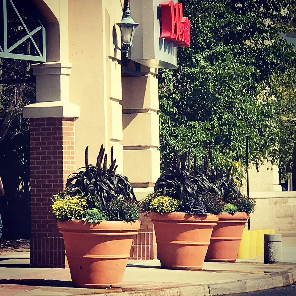 Expert lawn mowing service in Meriden, CT - Brother Nature Tree & Landscape