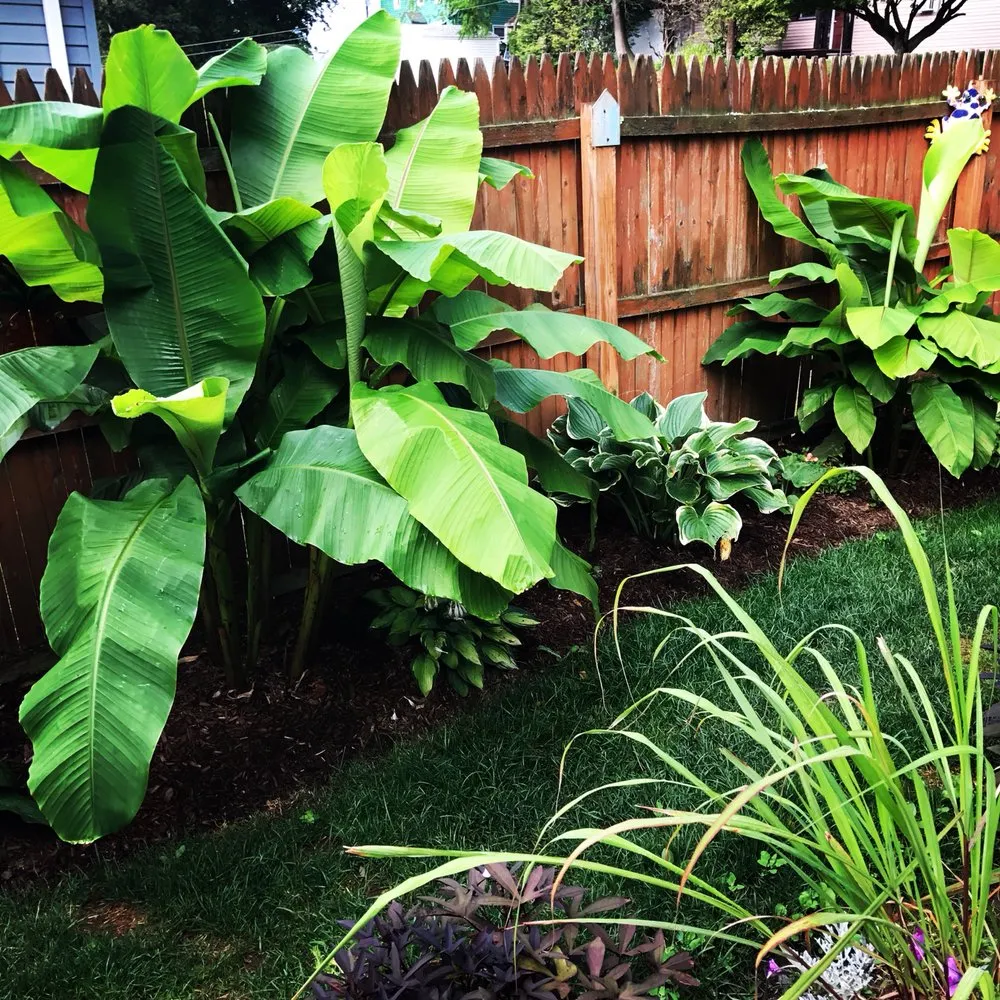 Top-rated landscape design for residential properties in Meriden, CT by Brother Nature Tree & Landscape