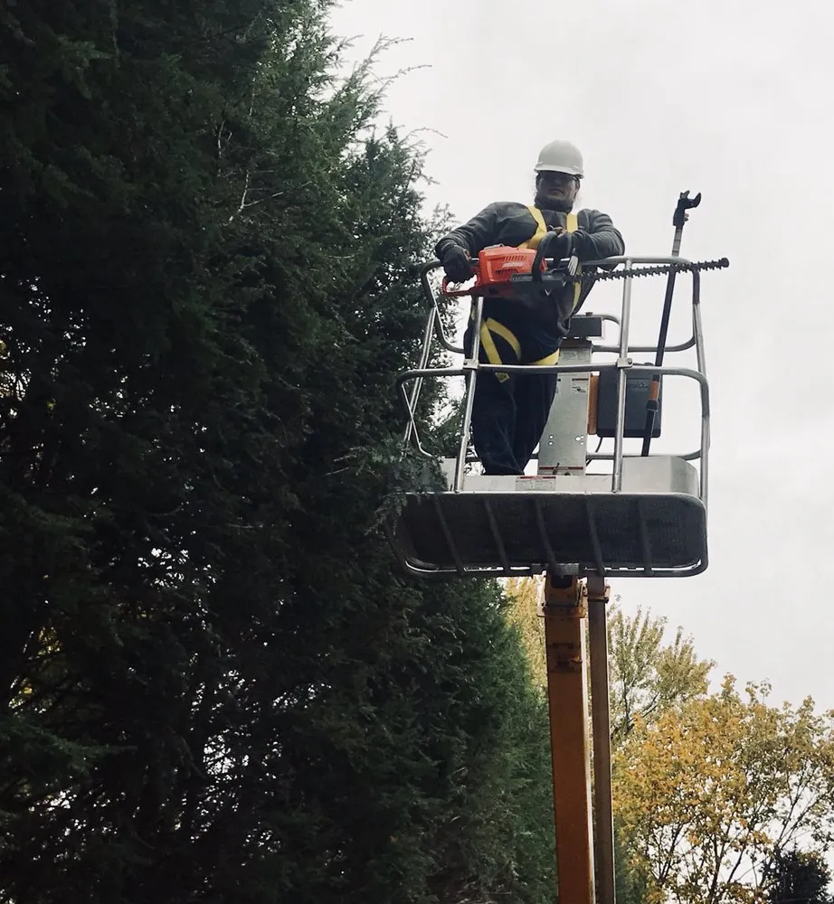 Expert lawn mowing service in Meriden, CT - Brother Nature Tree & Landscape