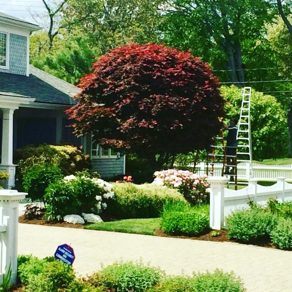 Local landscape installation in Meriden, CT by Brother Nature Tree & Landscape