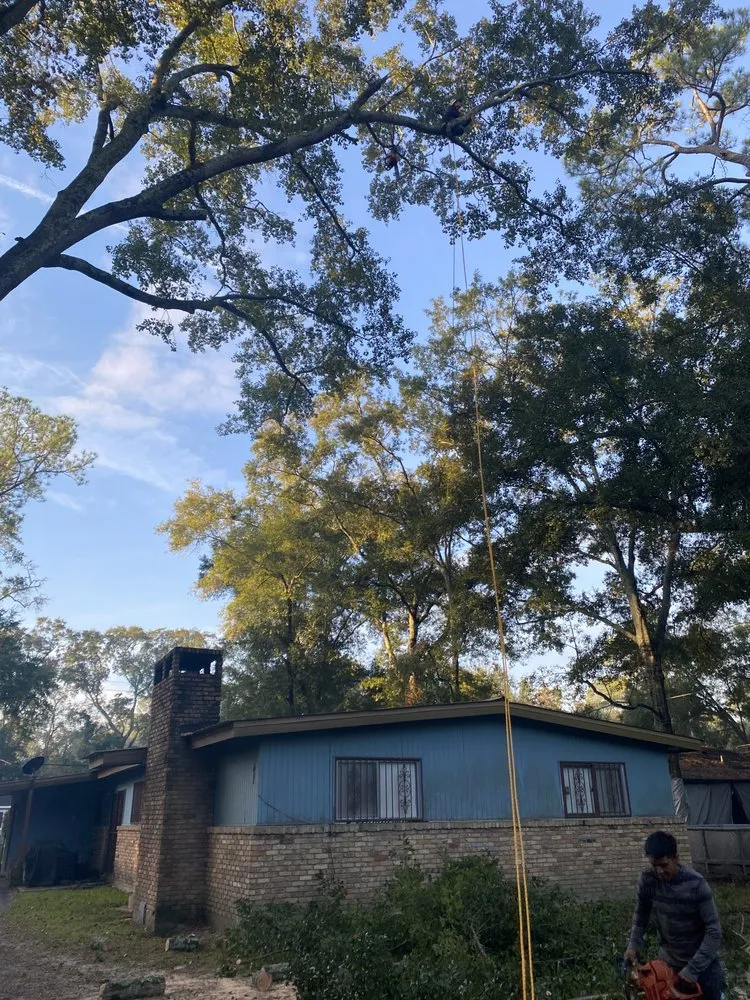 Reliable outdoor landscaping experts serving Mobile, AL - Brother Samy Lawn Care & Landscaping Service