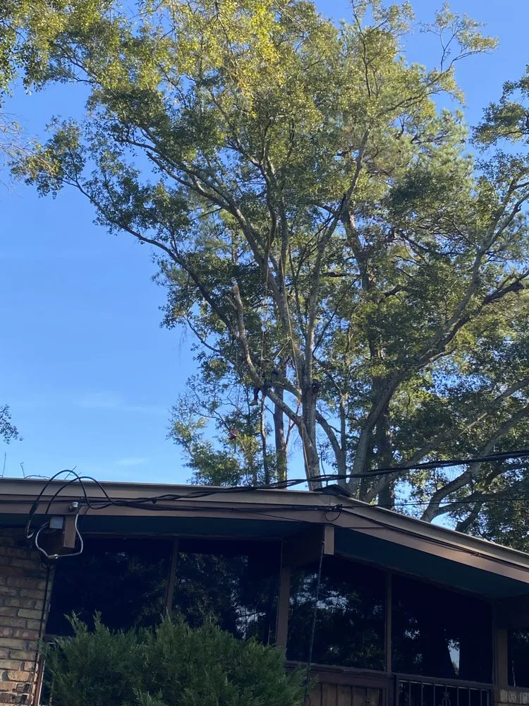 Expert landscape design experts serving Mobile, AL - Brother Samy Lawn Care & Landscaping Service