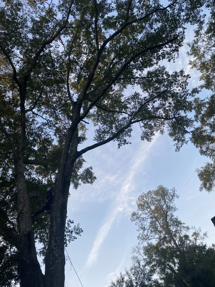 Custom garden landscaping in Mobile, AL - Brother Samy Lawn Care & Landscaping Service