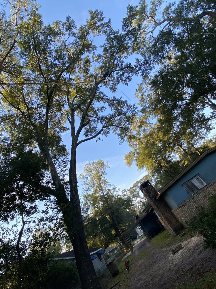 Professional outdoor landscaping in Mobile, AL by Brother Samy Lawn Care & Landscaping Service