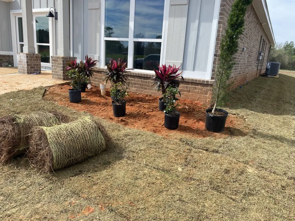 Reliable lawn mowing service in Mobile, AL - Brother Samy Lawn Care & Landscaping Service