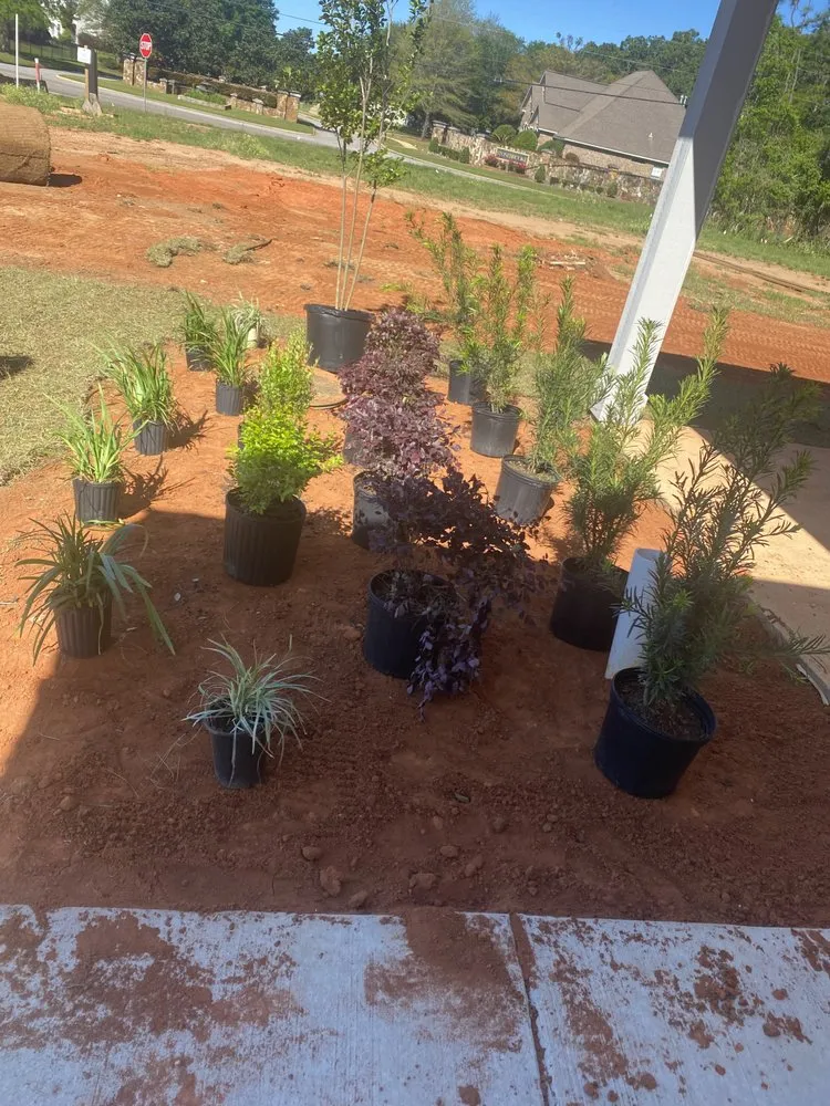 Expert yard cleanup service in Mobile, AL by Brother Samy Lawn Care & Landscaping Service