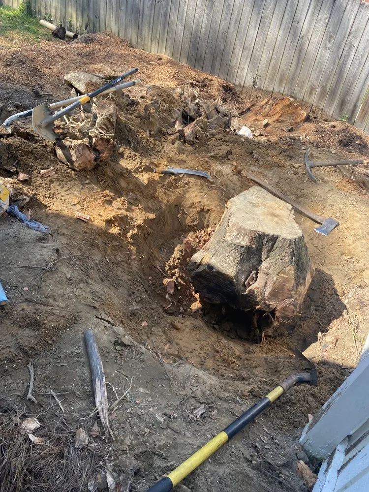 Top-rated residential landscaping in Mobile, AL - Brother Samy Lawn Care & Landscaping Service