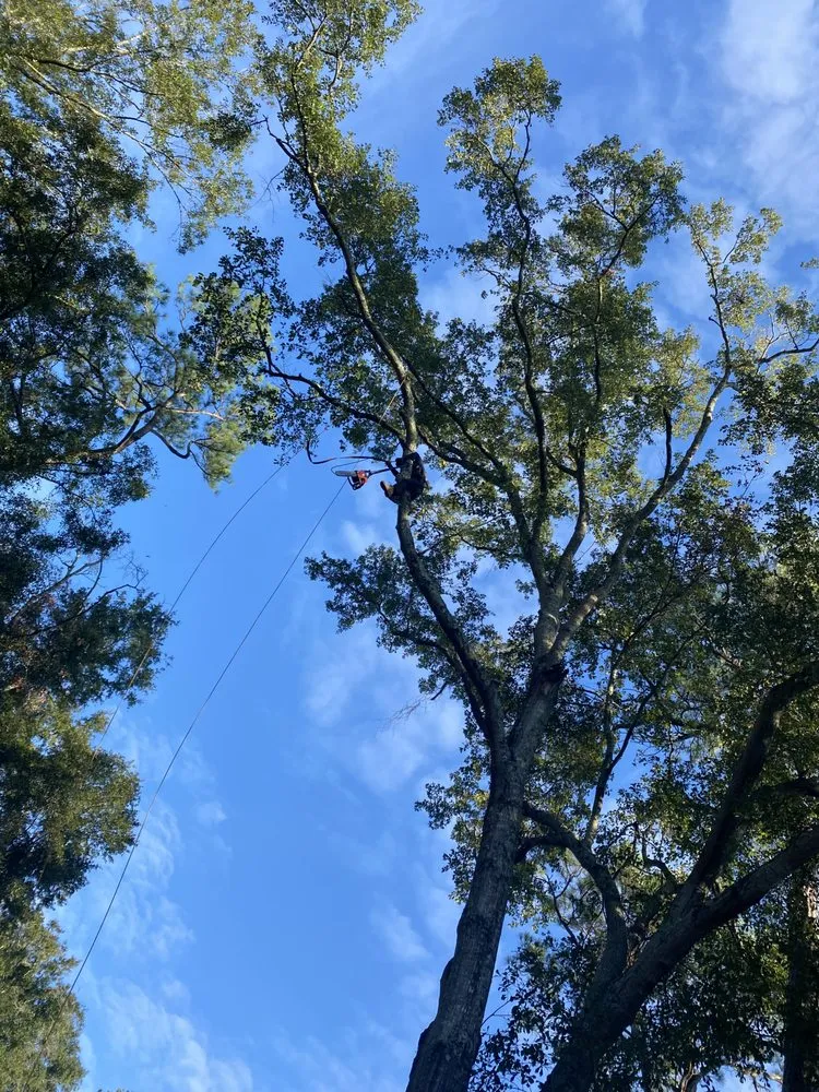 Local landscape installation for residential properties in Mobile, AL by Brother Samy Lawn Care & Landscaping Service