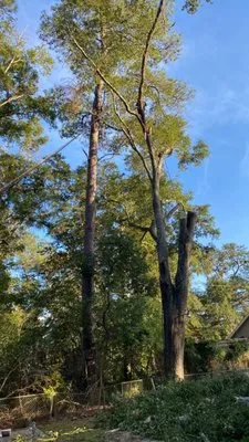 Brother Samy Lawn Care & Landscaping Service Logo