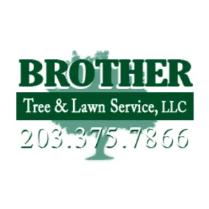 Affordable yard cleanup service in Stratford, CT - Brother Tree & Lawn Service