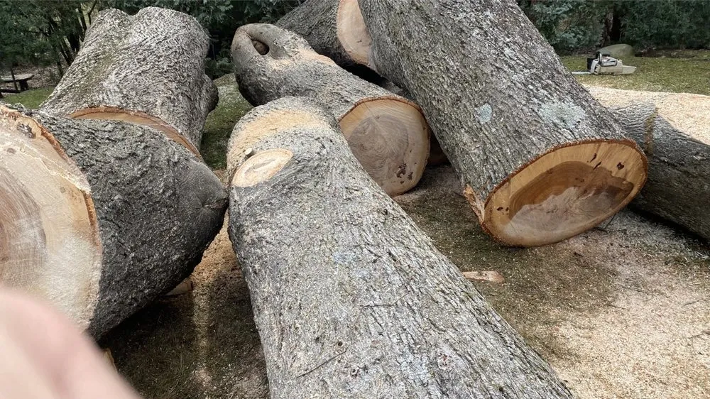 Trusted garden landscaping in Stratford, CT by Brother Tree & Lawn Service