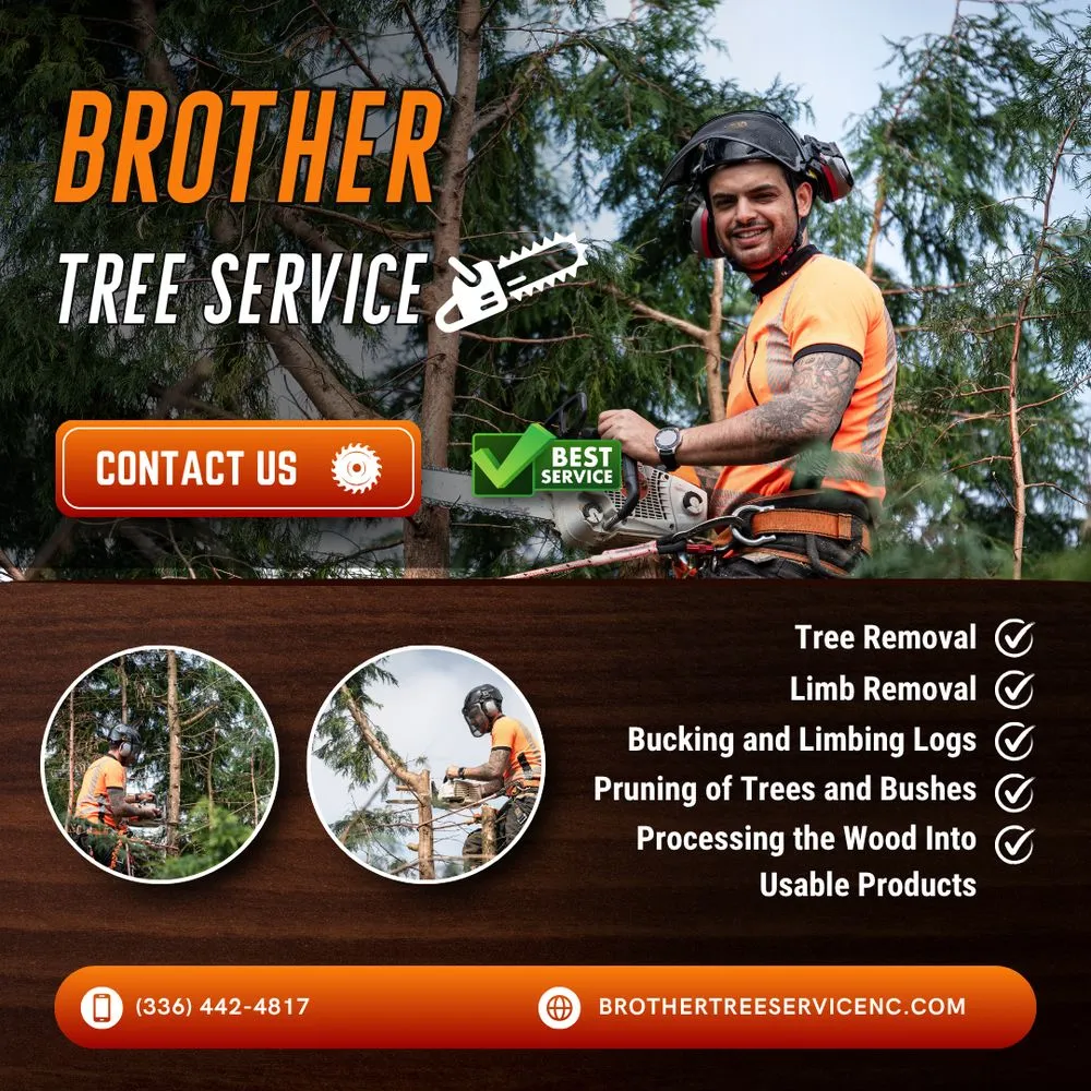 Professional garden landscaping with custom design across Archdale, NC - Brother Tree Service