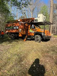 Expert lawn mowing service experts serving Archdale, NC - Brother Tree Service