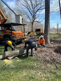Professional landscaping services for beautiful yards in Archdale, NC by Brother Tree Service