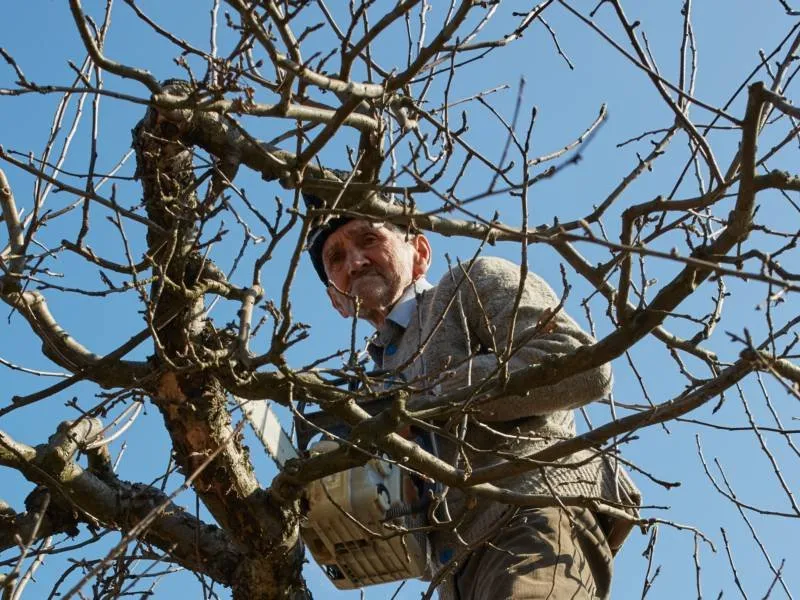 Affordable lawn mowing service in Archdale, NC - Brother Tree Service