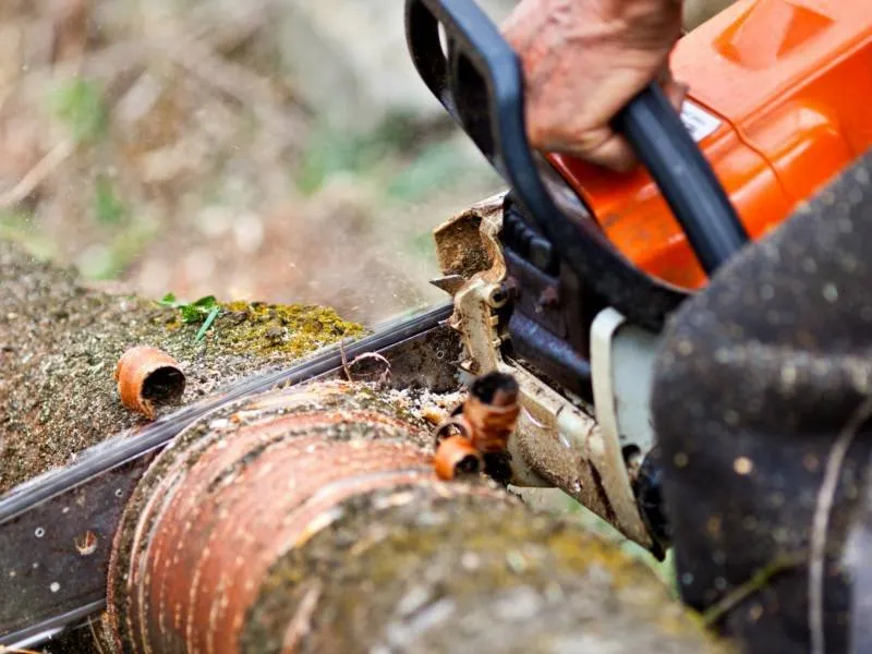 Affordable garden landscaping in Archdale, NC by Brother Tree Service