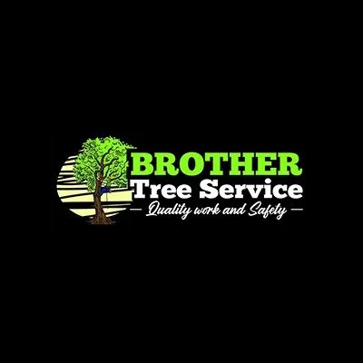 Reliable residential landscaping near you across Archdale, NC - Brother Tree Service