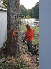 Affordable outdoor landscaping for beautiful yards across Archdale, NC - Brother Tree Service