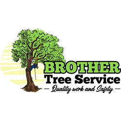 Top-rated landscape installation for residential properties across Archdale, NC - Brother Tree Service