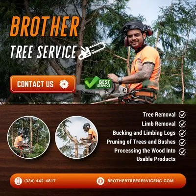 Brother Tree Service