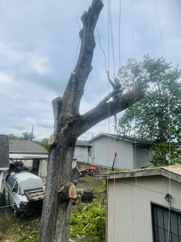 Affordable residential landscaping experts serving Houston, TX - Brother Y&C Landscaping Sprinklers Repair