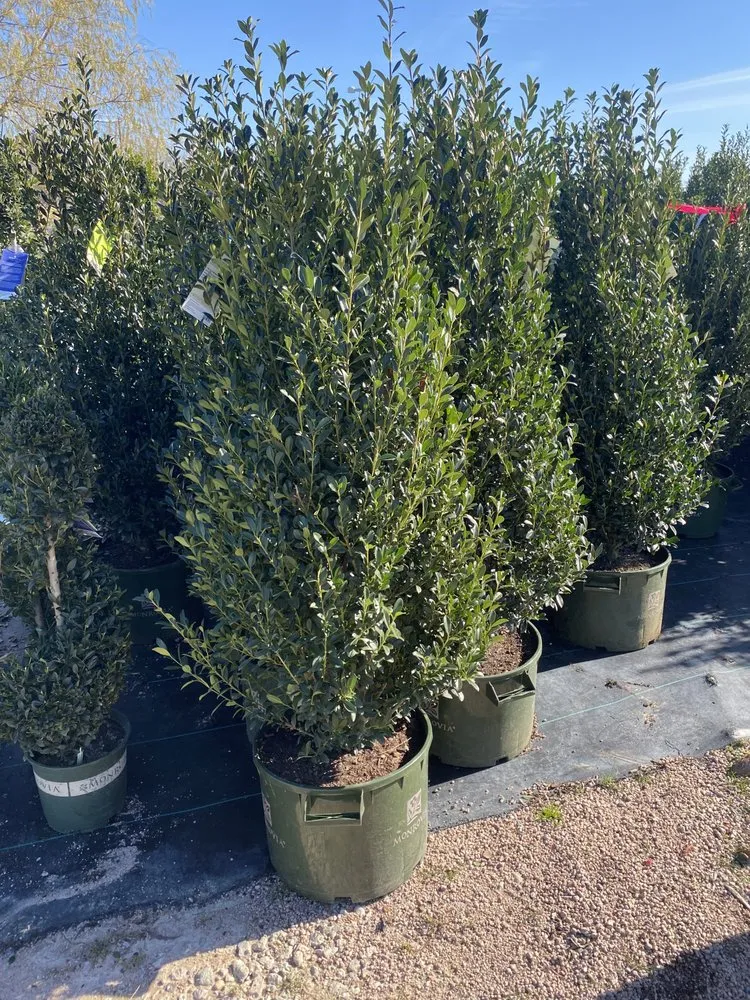 Expert garden landscaping for outdoor upgrades in Houston, TX by Brother Y&C Landscaping Sprinklers Repair