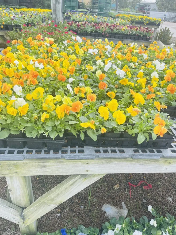 Local yard maintenance for homes in Houston, TX by Brother Y&C Landscaping Sprinklers Repair