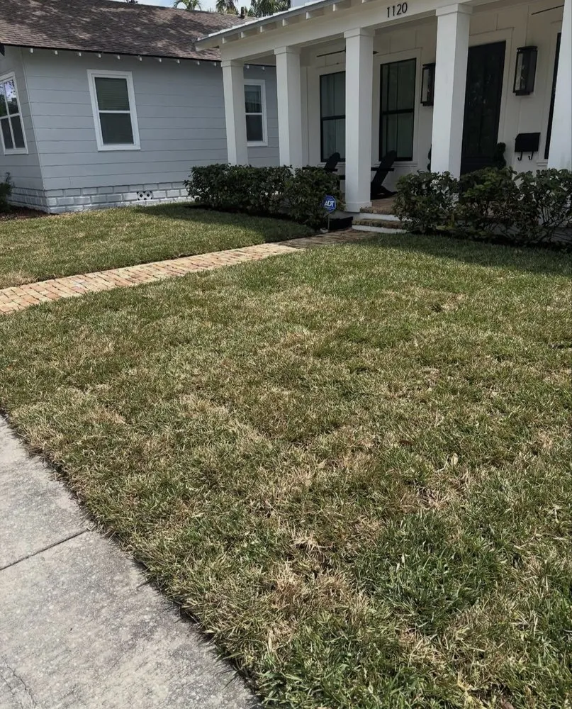 Trusted yard cleanup service in Tampa, FL - Brotherhood Gardens