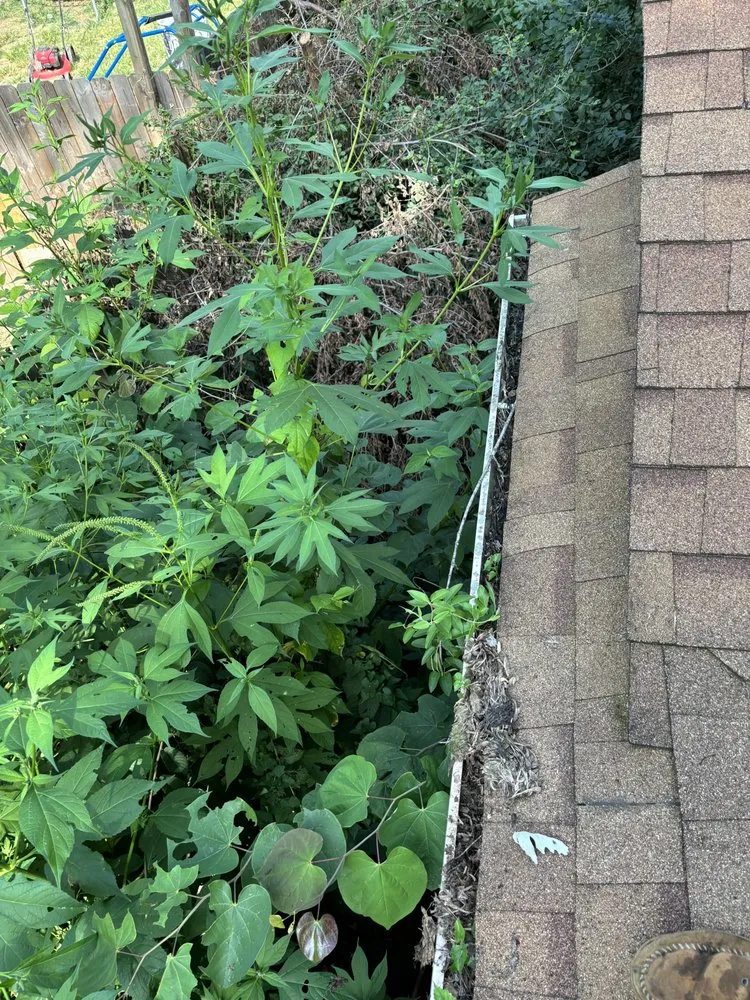 Local residential landscaping in Martinsville, IN - Brotherly Cleaning Services